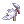 False Angel Wing